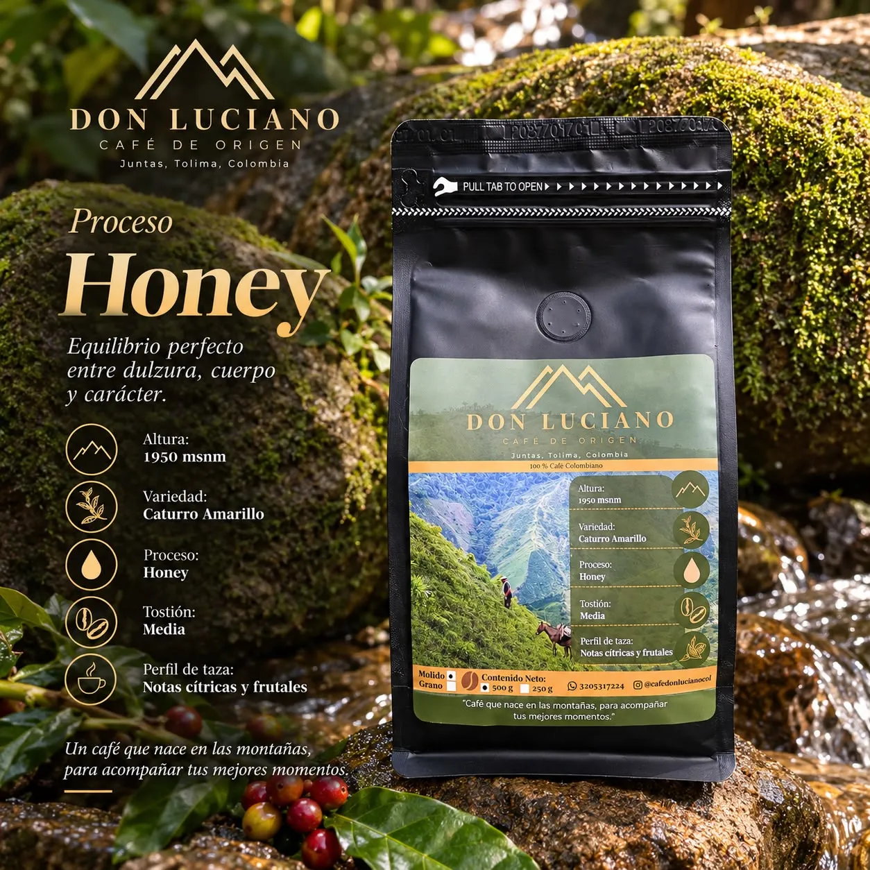 Bolsa de Café Don Luciano proceso Honey sobre una piedra con musgo junto a un arroyo, con su ficha de altura, variedad, proceso, tostión y perfil de taza.