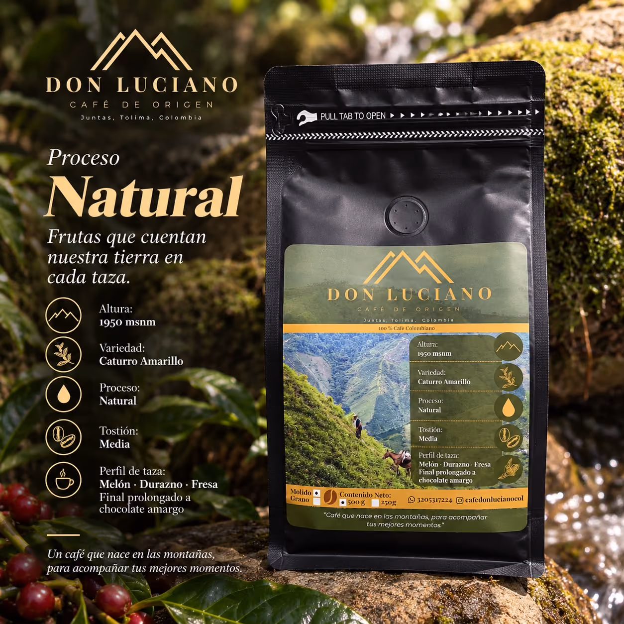 Bolsa de Café Don Luciano proceso Natural sobre una piedra con musgo junto a un arroyo, con su ficha de altura, variedad, proceso, tostión y perfil de taza.