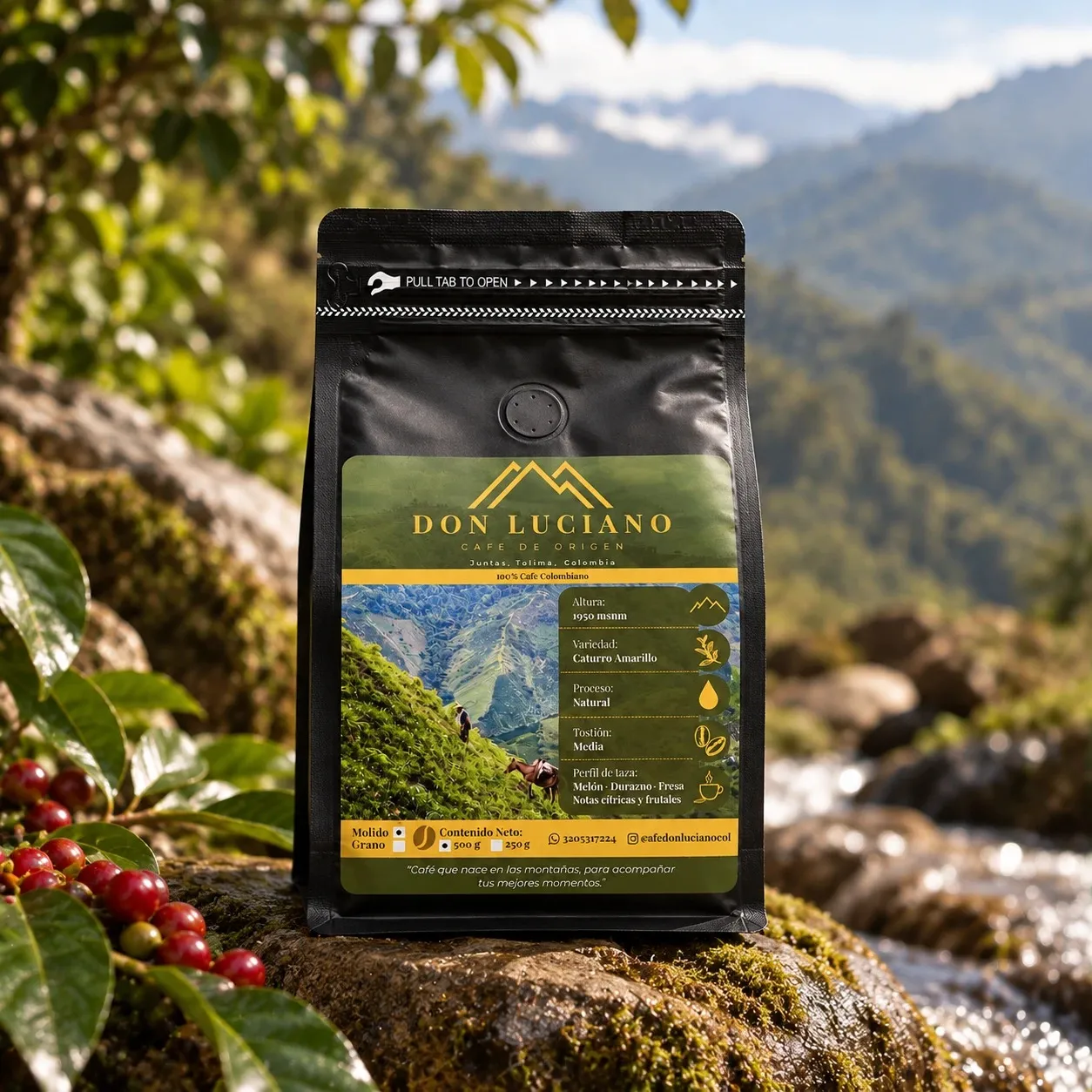 Bolsa de Café Don Luciano Natural sobre una piedra con musgo, junto a cerezas de café, un arroyo y las montañas al fondo.